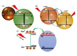 photocatalytic what's new in water treatment