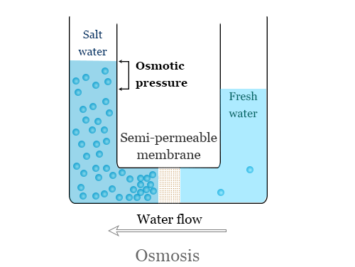 reverse osmosis